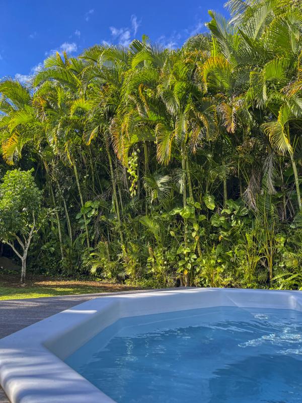 Lodge à louer pour 4 personnes avec piscine privée à Petit Bourg Guadeloupe_3